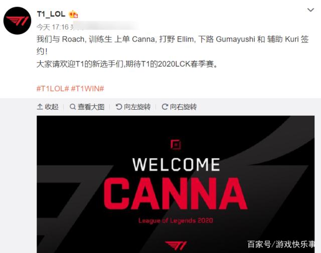 球员占比较 球员占比较