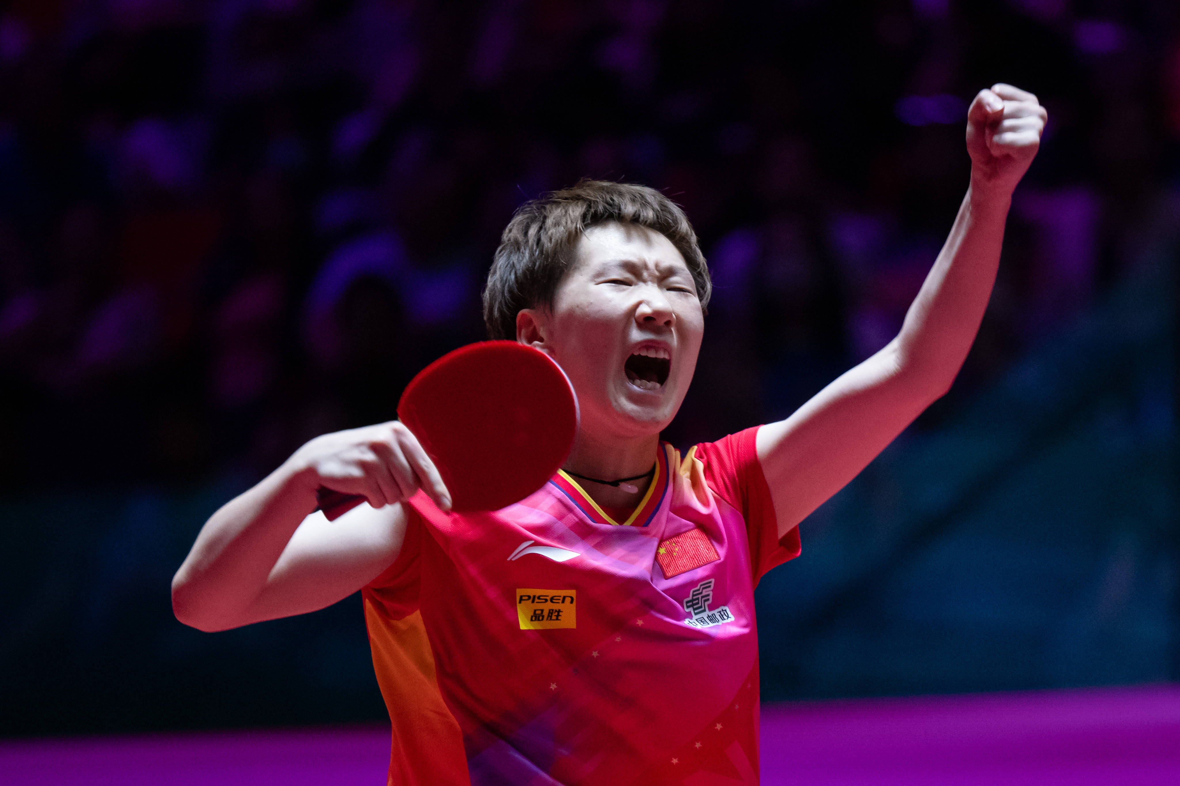 根据足协的 根据足协的