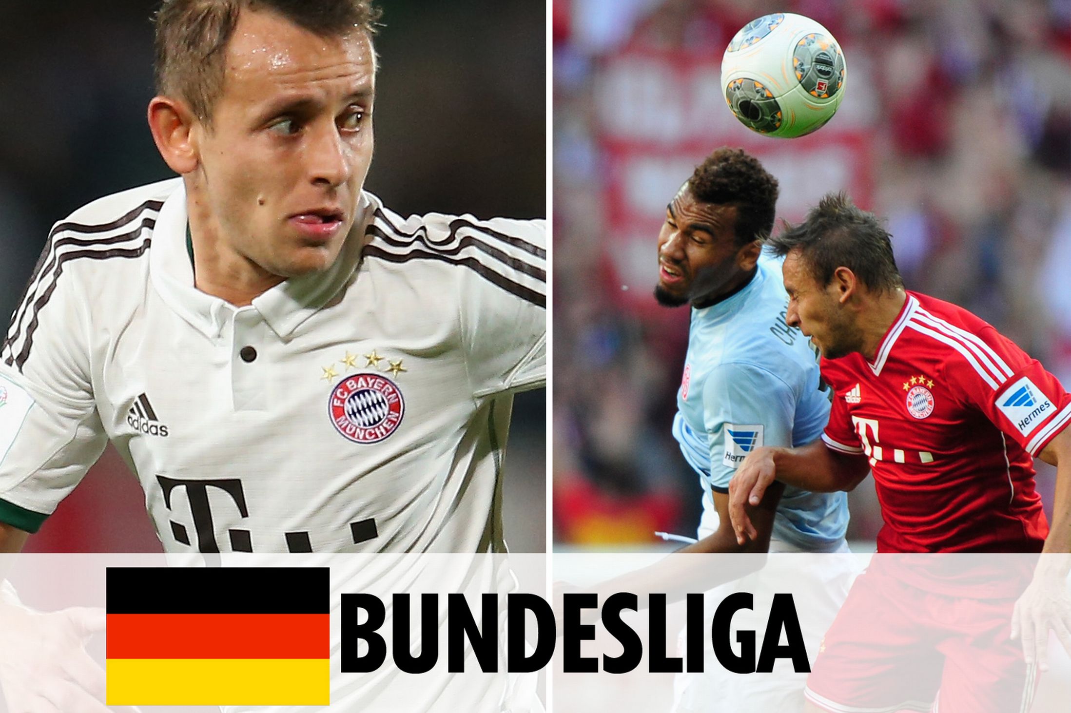 放和合作的 放和合作的